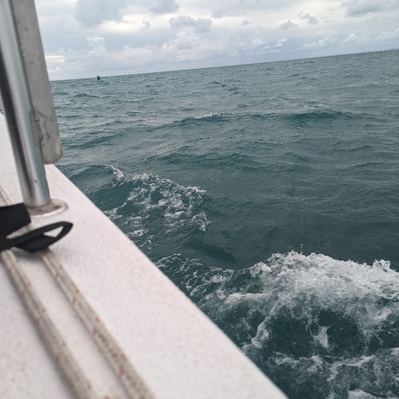 Meet your Posher, Daisy - Picture 13 of 16